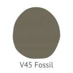 V45-Fossil