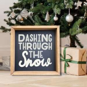 1099 Dashing through the Snow