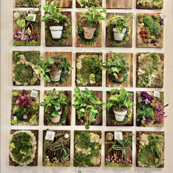 Grow Board Workshops - Image 9