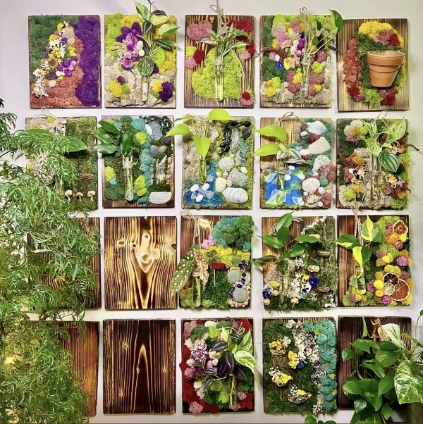 Grow Board Workshops - Image 12
