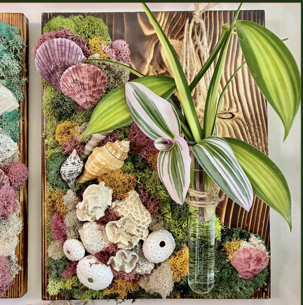 Leafspace Designs at Nailed It DIY Evans | Coral Reef Themed Growboard - Image 2